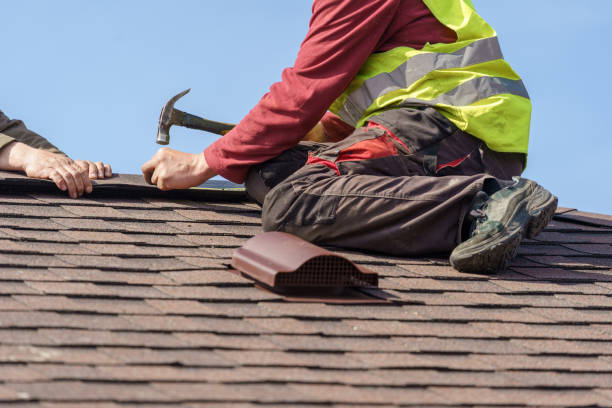 Best Roof Gutter Cleaning  in Newport, OH