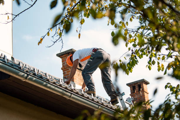 Quick and Trustworthy Emergency Roof Repair Services in Newport, OH
