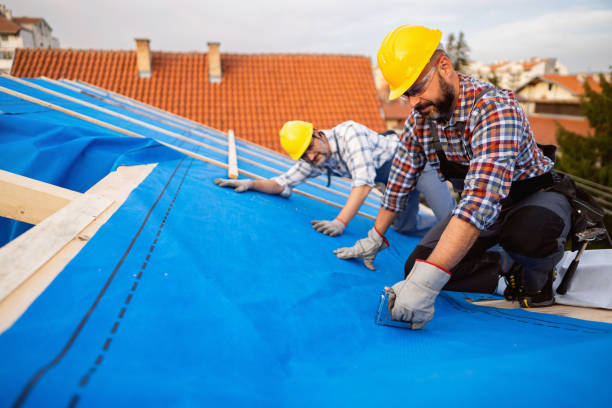 Best Storm Damage Roof Repair  in Newport, OH