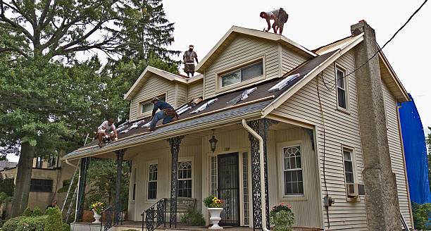 Best Residential Roofing Contractor  in Newport, OH