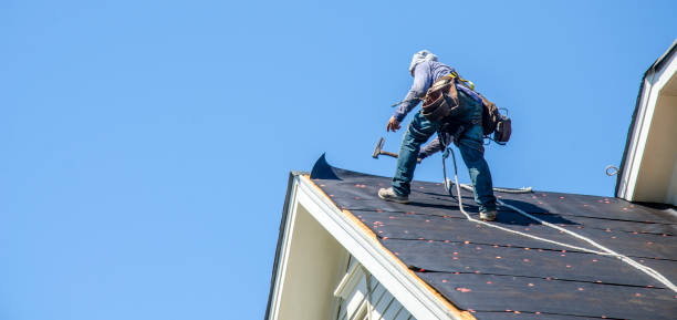 Best New Roof Installation  in Newport, OH